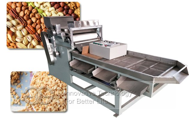 Dry Fruit Chopping Cutting Machine