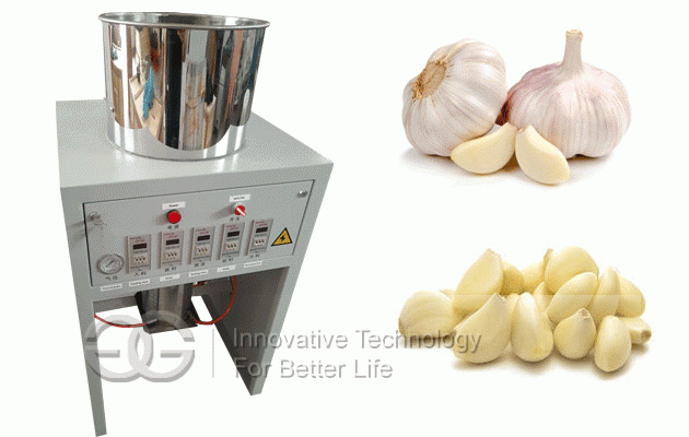 Garlic Peeling Machine