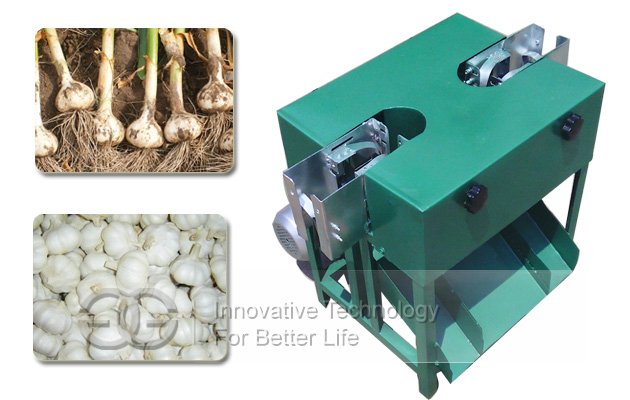 Flat Cutting Model Garlic Root Cutting Machine