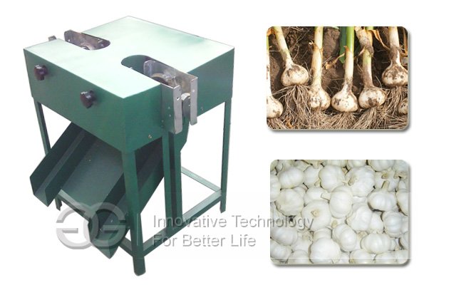 Garlic Root Cutter Machine