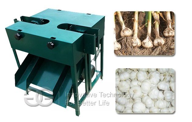 Garlic Root Cutter Machine