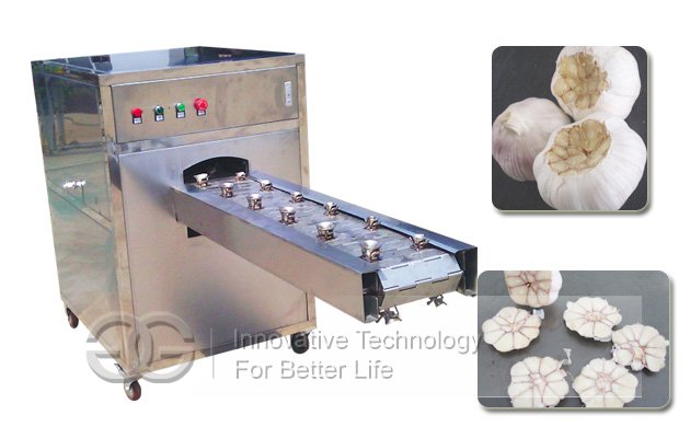 Automatic Garlic Clove Breaking and Peeling Machine for Spain Customer   Garlic Peeling Machine, Garlic Breaking Machine, Garlic Root Cutting Machine