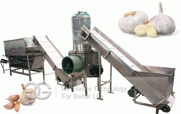 Garlic Peeling Production Line