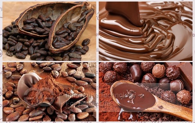 Cocoa Beans 