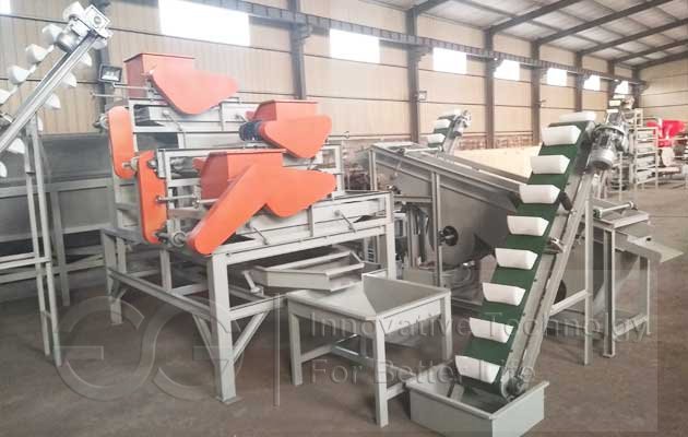 Hazelnut Shelling Machine