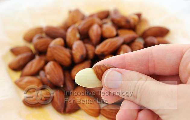 Blanched Almond