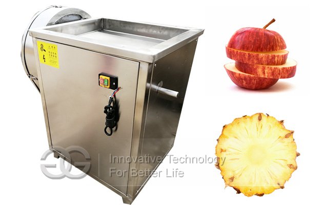 Pineapple Slice Cutter Machine Price