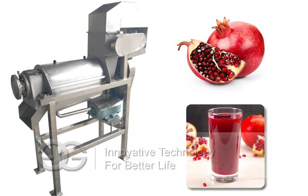 Fruit Juice Maker