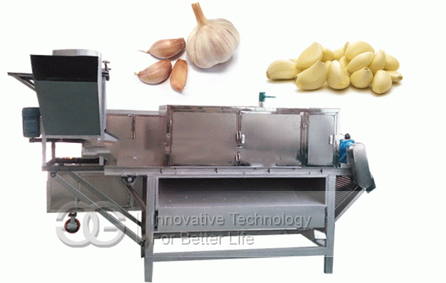 Garlic Peeling Production Line