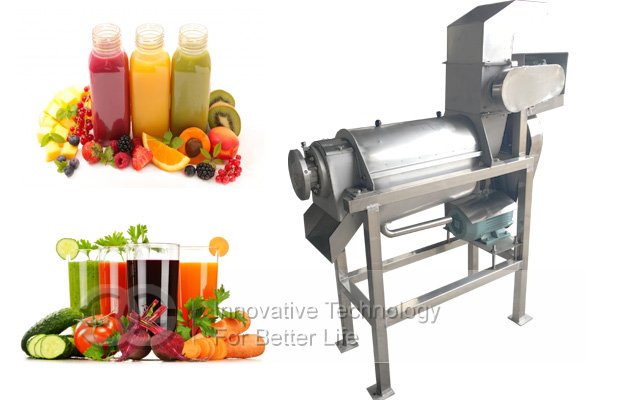 Fruit Juicer