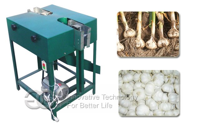 Garlic Root Removing Machine