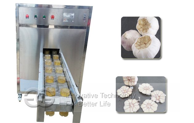 Garlic Root Cutter Machine