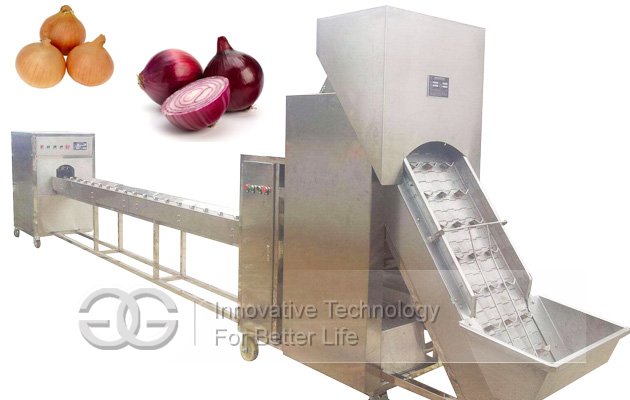 Onion Peeling Machine Price