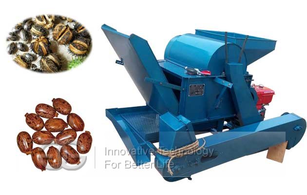 Castor Shelling Equipment