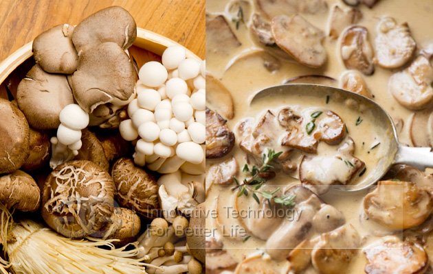 Mushroom Sauce Making Machine