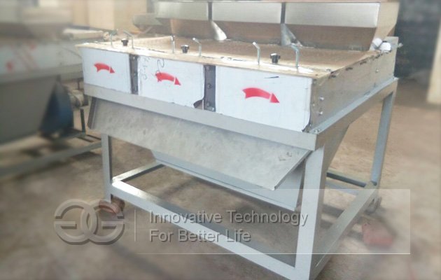 Hazelnut Peeler Machine Price