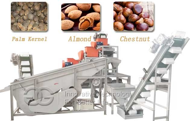 Palm Kernel Seed Cracker