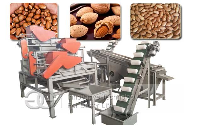 Chestnut Shelling Machine