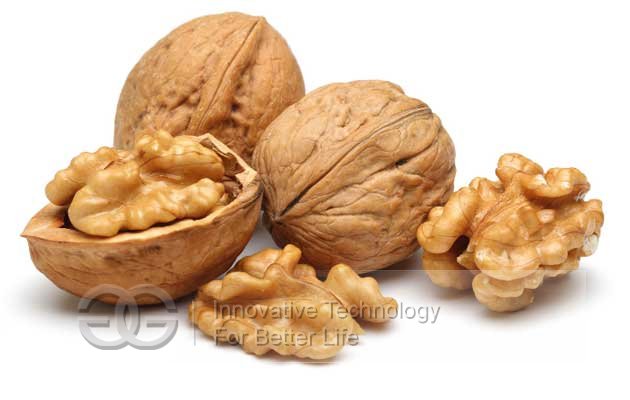 Nut Technology - Walnut processing equipment