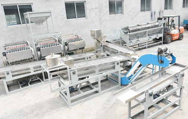 cashew nut processing plant