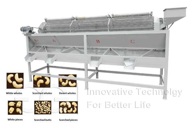 Cashew Nut Sizing Machine