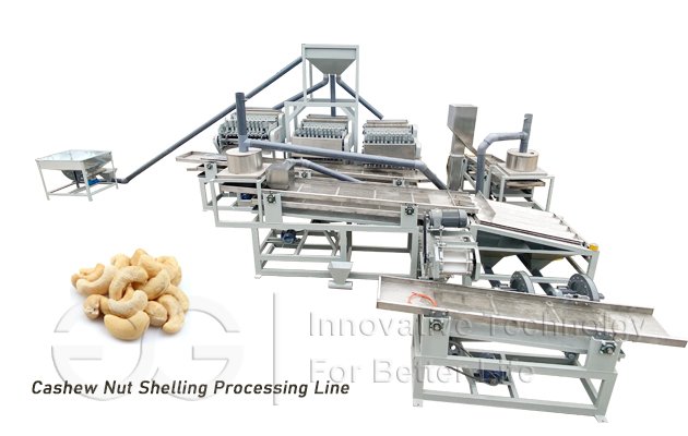 Cashew Nut Processing Plant