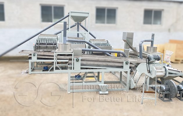 Cashew Nut Processing Machine Cost