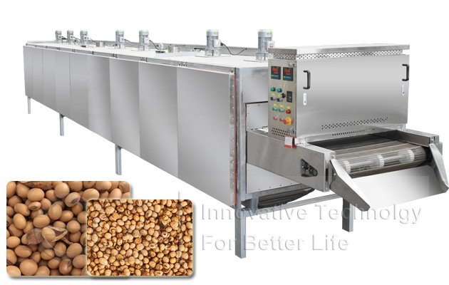 Soybean Roasting Machine