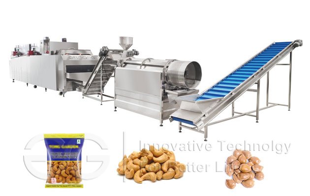 Cashew Nut Roasting Seasoning Line